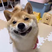コッペパンはな
