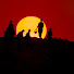 hY459YVxFBs-channel-avatar-Day to day life 