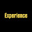 Experience