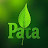 avatar of @neem_pata