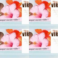 thumbnail img1x1