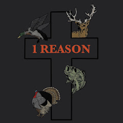 1 Reason