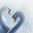 96twzxlXi6s-channel-avatar-Midnight Swan 