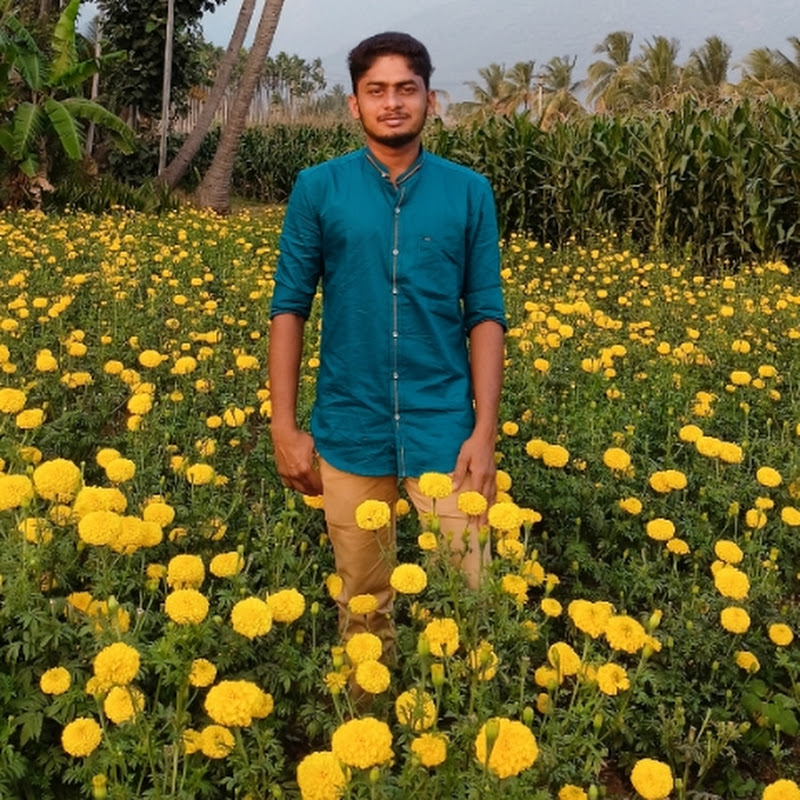 Agriculture Creatives