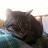 @PollyPurree1886 Avatar