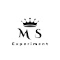 MS Experiment logo