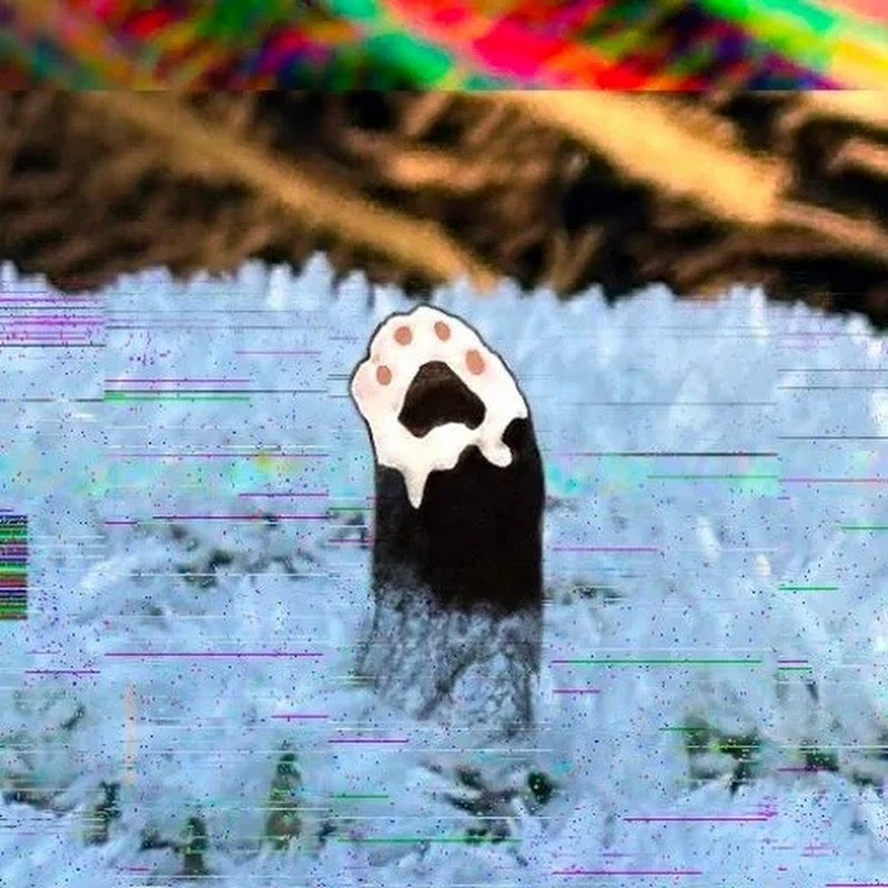 Shutter Paw