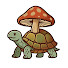 nQzJLh9YmLM-channel-avatar-Slow Myco