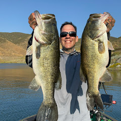 FISH ELITE