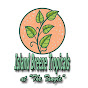 Island Breeze Tropicals logo