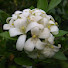 WGg9g3jXSxw-channel-avatar-Naturaleza Blanca