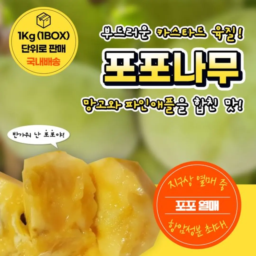포포나무야영장
