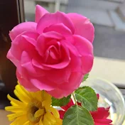 ミーちゃん習字教室