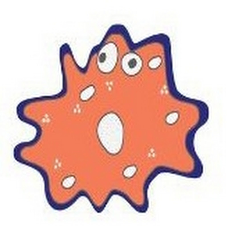 Business Amoeba
