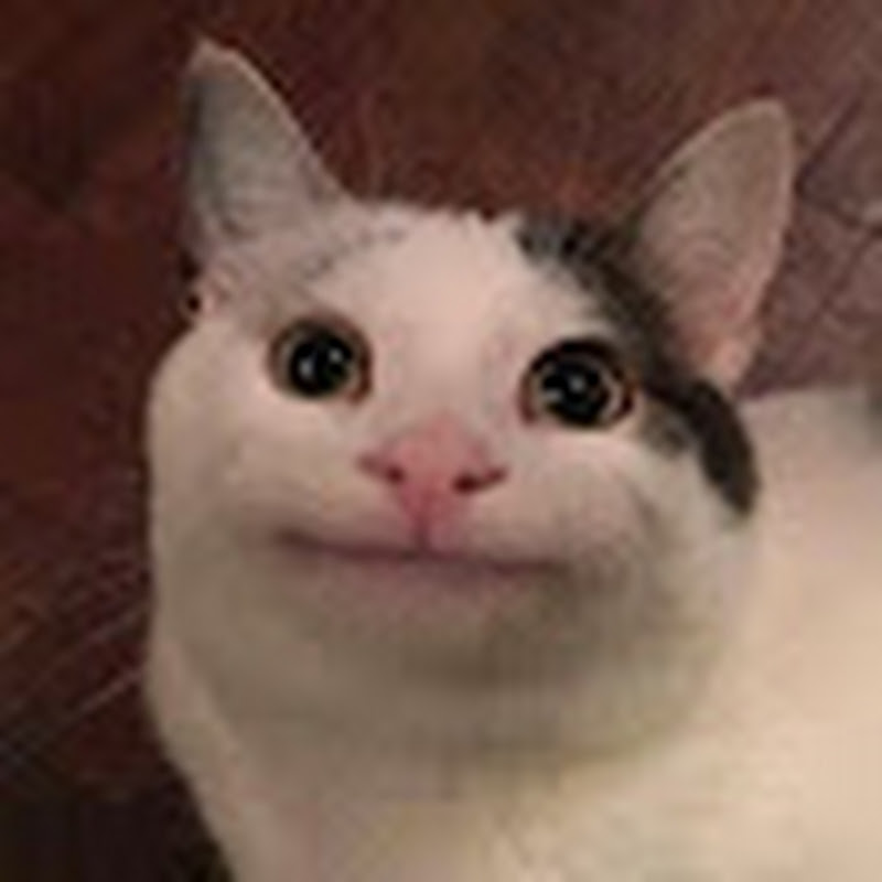 BoosterFace