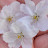@user-lb3ih8nz6e
