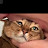 @Dreambig12-j3u