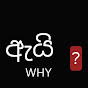 WHY logo