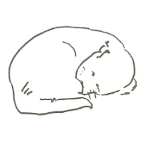 マスター猫 / ASMR since 2013 profile image