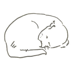 マスター猫 / ASMR since 2013アイコン画像