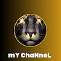 mY ChaNneL logo