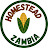 Homestead Zambia