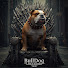 ES0BWK81VKA-channel-avatar-Bulldog Unleashed