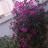 @بسامشتاية