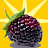 @boysenberry_b