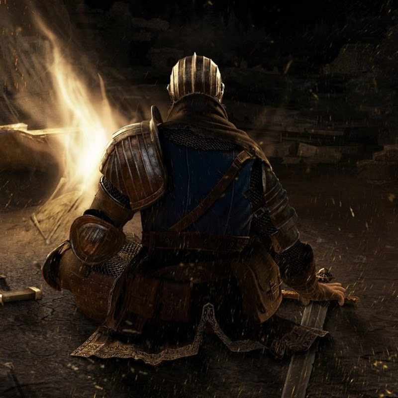 The Elite Knight