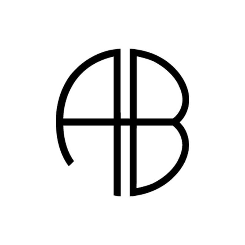 ANINE BING icon