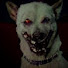W7sCRc0KIhc-channel-avatar-hund