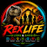 QLkcQN-t_MA-channel-avatar-REX LIFE