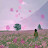 @morningbookstar