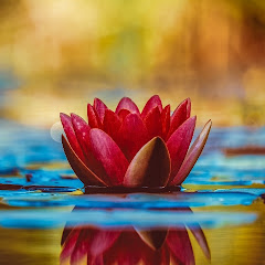 お気軽ラジオステーションアイコン画像