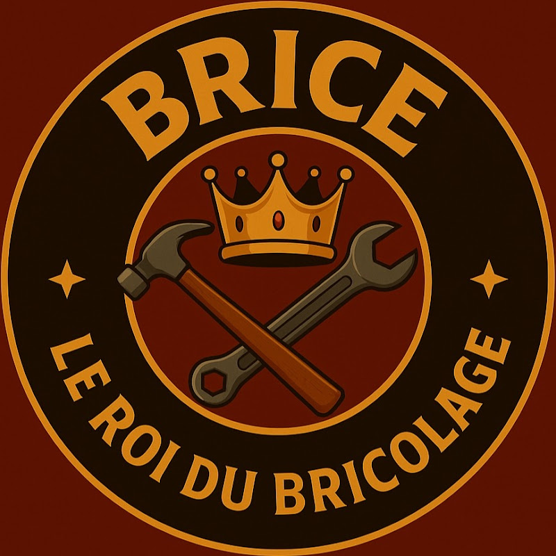 Brice le roi du bricolage