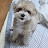 @규현심심이