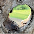 TleUoV8FoG8-channel-avatar-The Vortex Hole