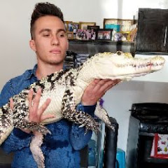 Andre Rocha (La casa de los Cocodrilos)