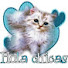 pMr-d3ek3ao-channel-avatar-epiccatvideoz