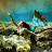 Brandee Anthony - Vero Beach Mermaid
