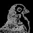 LItZsfB_WGM-channel-avatar-رَبِّيني