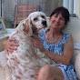 Val Lewis - @LoveEnglishSetters - Youtube