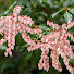 gun_iFMroAE-channel-avatar-UMass Extension Agriculture & Commercial Horticulture Program