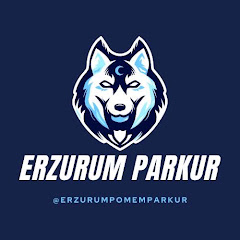 Erzurum Pomem Parkur