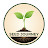 @seedjourney-SJ