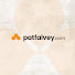 lYoOMrcJNsE-channel-avatar-Pat Falvey