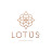 Lotus Riviera Maya Realty