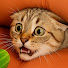 1Cxf6IVi6a8-channel-avatar-Pets Rashed