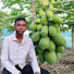l3N41wz43zM-channel-avatar-Agro Krishi BD